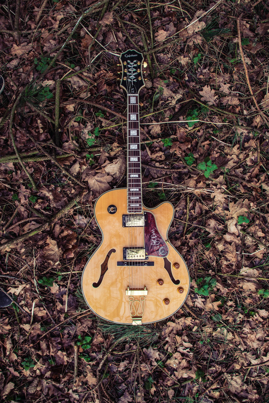 Gretsch Streamliner G2655 (illustrative photo)