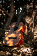 Cordoba C7 (illustrative photo)