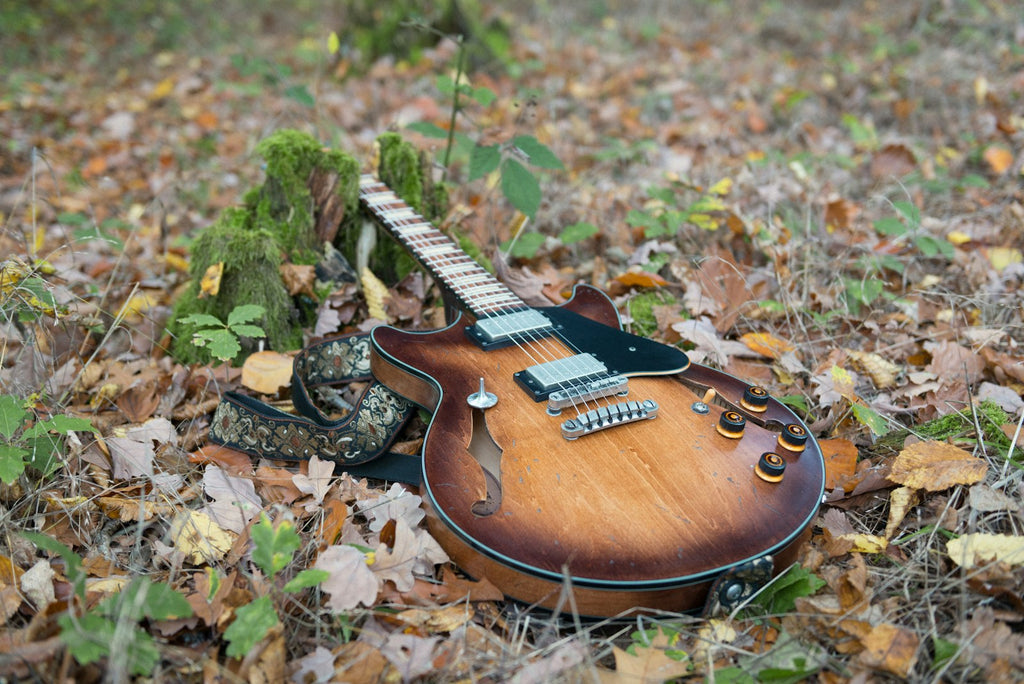 Gretsch Streamliner G2655 (illustrative photo, detail)