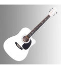 Classic Cantabile WS-10 CE
